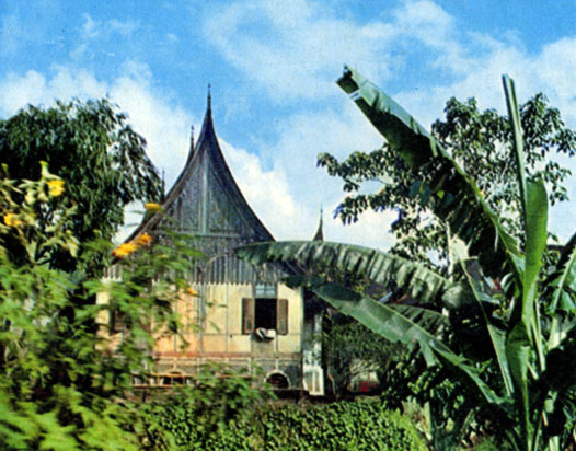 Сельский дом минангкабау