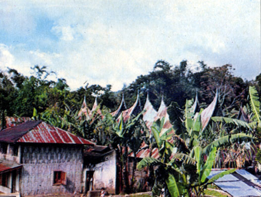 Деревня Минангкабау