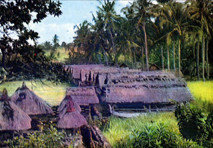 Папуасская деревня