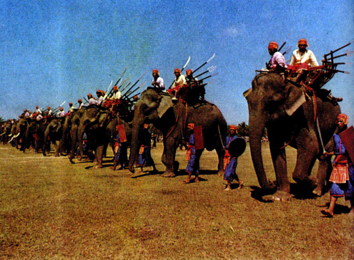 На ежегодном празднике слонов в Сурине